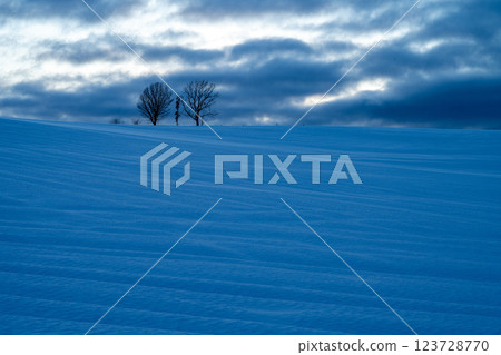 北海道的冬天:美瑛與富良野 北海道的冬天:美瑛與富良野 123728770