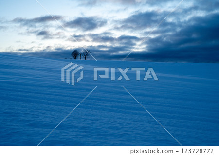 Winter in Hokkaido: Biei and Furano 123728772