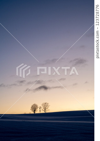 Winter in Hokkaido: Biei and Furano Winter in Hokkaido: Biei and Furano 123728776