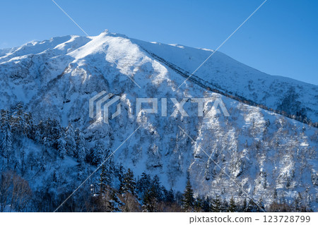 北海道的冬天:美瑛與富良野 北海道的冬天:美瑛與富良野 123728799