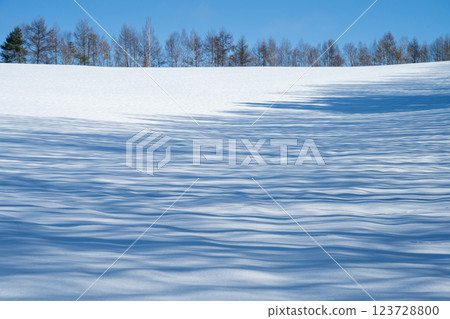 北海道的冬天:美瑛與富良野 北海道的冬天:美瑛與富良野 123728800