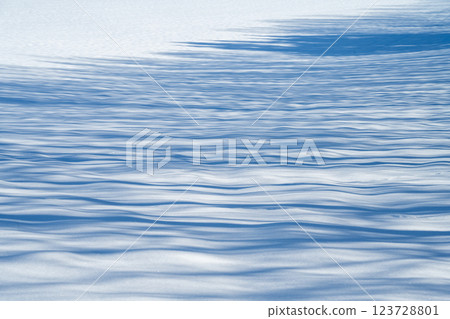 Winter in Hokkaido: Biei and Furano 123728801