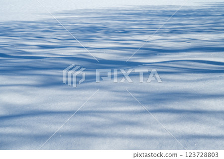 Winter in Hokkaido: Biei and Furano 123728803