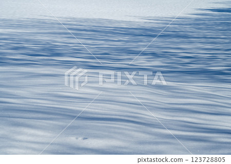 Winter in Hokkaido: Biei and Furano 123728805
