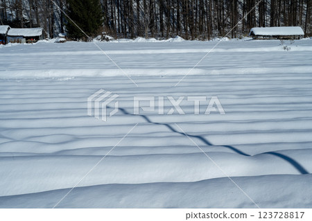 北海道的冬天:美瑛與富良野 北海道的冬天:美瑛與富良野 123728817