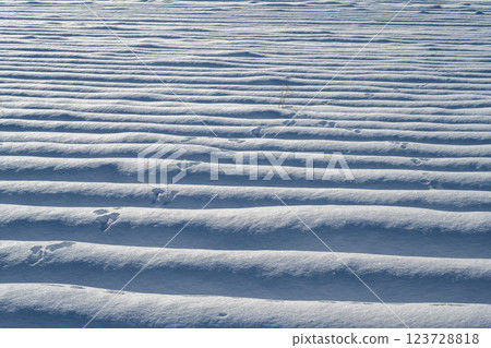 北海道的冬天:美瑛與富良野 北海道的冬天:美瑛與富良野 123728818