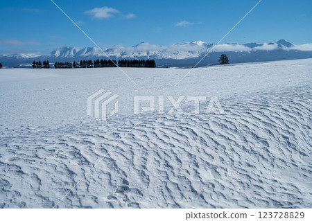 Winter in Hokkaido: Biei and Furano Winter in Hokkaido: Biei and Furano 123728829