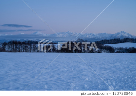 北海道的冬天：美瑛與富良野 123728846