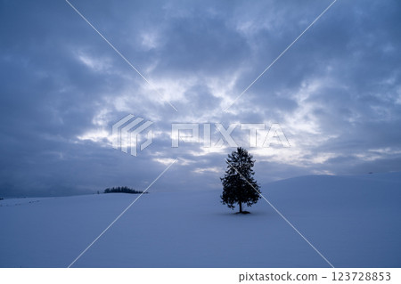 Winter in Hokkaido: Biei and Furano 123728853