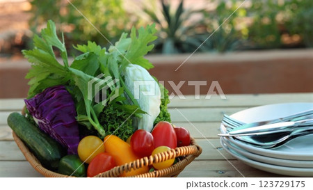 Vegetable diversity showcasing biodiversity beauty, vibrant colors reflecting harmony, vegetables promoting eco-consciousness, biodiversity visual appeal deepening sustainable understanding. Vegetable diversity showcasing biodiversity beauty, vibrant colors reflecting harmony, vegetables promoting eco-consciousness, biodiversity visual appeal deepening sustainable understanding. 123729175