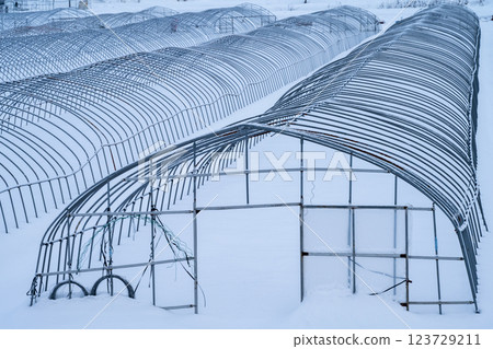 北海道的冬天:富良野和美瑛 北海道的冬天:富良野和美瑛 123729211