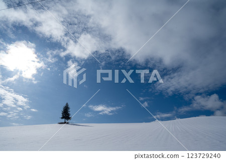 Winter in Hokkaido: Furano and Biei Winter in Hokkaido: Furano and Biei 123729240