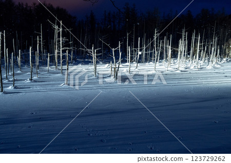 Winter in Hokkaido: Furano and Biei Winter in Hokkaido: Furano and Biei 123729262