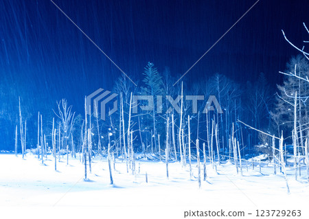 Winter in Hokkaido: Furano and Biei Winter in Hokkaido: Furano and Biei 123729263