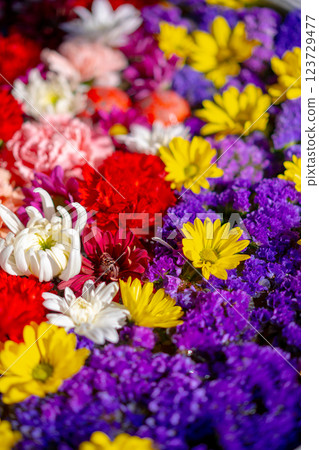 A lot of flowers 123729477