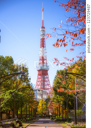 Tokyo Tower seen from Shiba Park 123729487