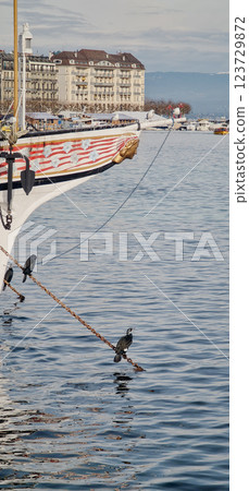 Beautiful view of birds sitting on the ship 123729872