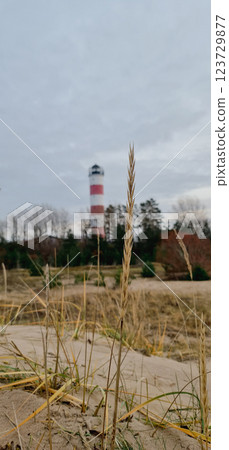 Vertical photography with lighthouse on background Vertical photography with lighthouse on background 123729877