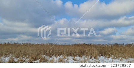 Beautiful winter sea landscape with cloudy sky Beautiful winter sea landscape with cloudy sky 123729897