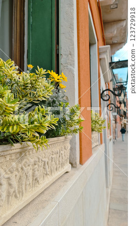 View of italian street with plant on window View of italian street with plant on window 123729918
