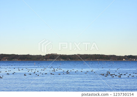 Ibaraki Prefecture, Tsuchiura City, Lake Kasumigaura 123730154
