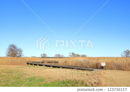 Ibaraki Prefecture, Tsuchiura City, Kasumigaura General Park 123730157
