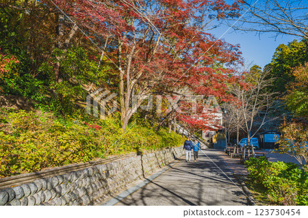 The approach to Hodasan Son'eiji Temple in Fukuroi City and autumn leaves (Shizuoka Prefecture) 123730454