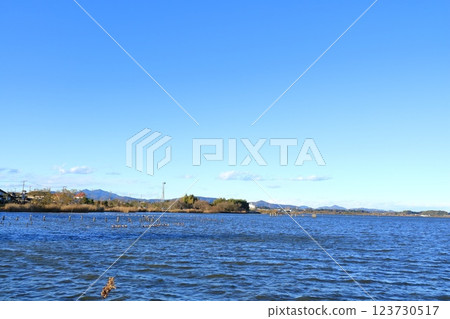 茨城縣、土浦市、霞浦湖 123730517