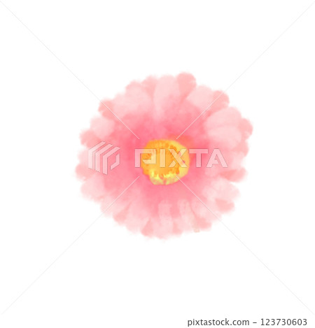 粉紅色的可愛水彩風格非洲菊插圖 粉紅色的可愛水彩風格非洲菊插圖 123730603