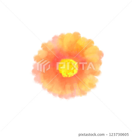 可愛的水彩風格非洲菊插圖橙色 可愛的水彩風格非洲菊插圖橙色 123730605