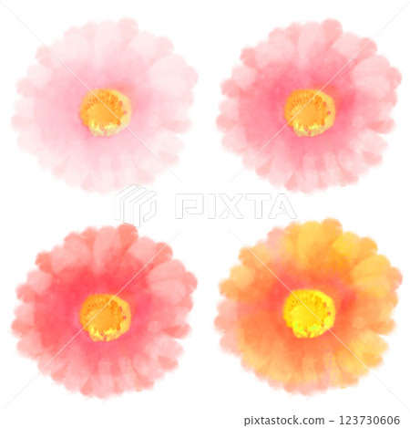可愛的水彩風格非洲菊插圖 123730606