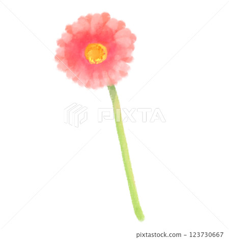 可愛的水彩風格非洲菊插圖紅色 可愛的水彩風格非洲菊插圖紅色 123730667