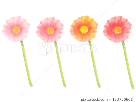 可愛的水彩風格非洲菊插圖 123730668