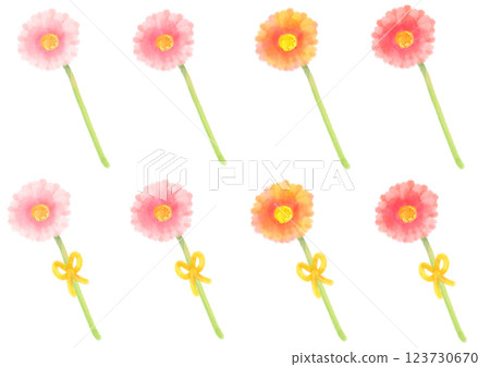 可愛的水彩風格非洲菊插圖 123730670