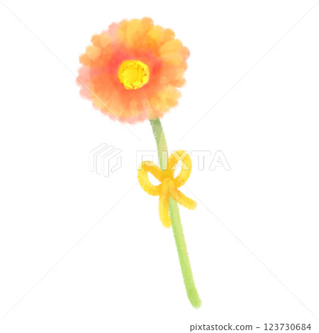 可愛的水彩風格非洲菊插圖 123730684