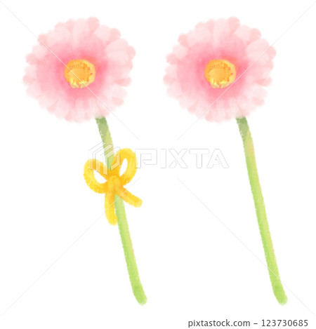 可愛的水彩風格非洲菊插圖 123730685