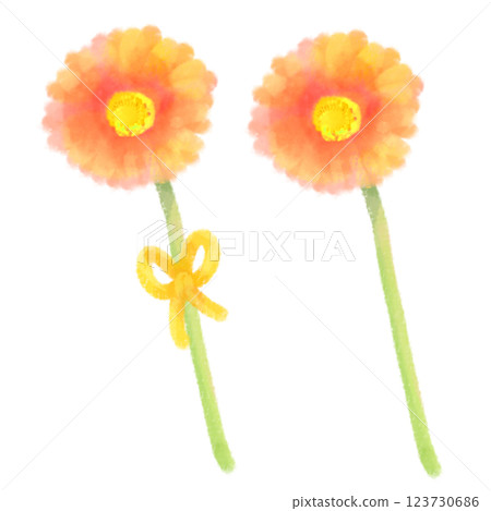 可愛的水彩風格非洲菊插圖 123730686