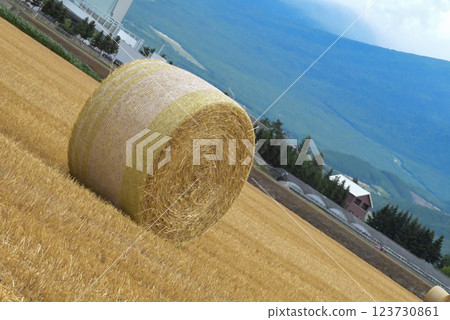 Hokkaido Farm Roll 123730861