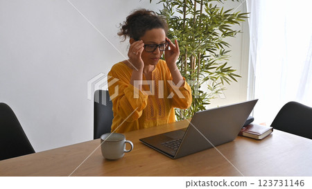 Woman Entrepreneur Working Remotely from Home in a Modern Cozy Environment 123731146