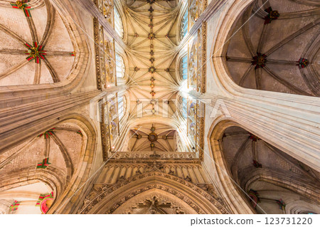 interiors of Saint Vulfran collegiate, Abbeville, France 123731220