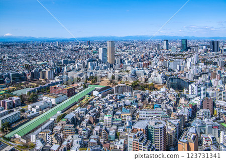 Tokyo cityscape in Japan, with views of Nakameguro Atlas Tower, Carrot Tower in front of Sangenjaya Station, Mt. Fuji, etc. 123731341
