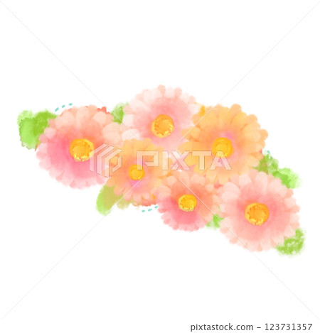可愛的水彩風格粉紅非洲菊插畫 123731357