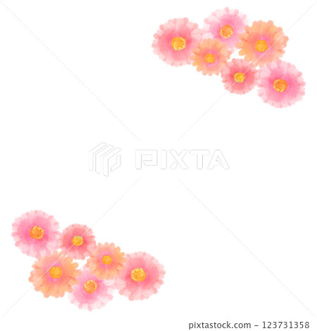 可愛的水彩風格粉紅非洲菊插畫 123731358