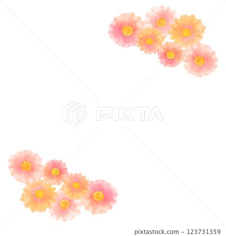 可愛的水彩風格粉紅非洲菊插畫 123731359