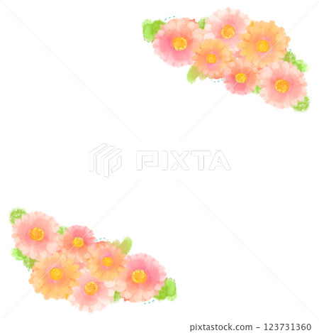 可愛的水彩風格粉紅非洲菊插畫 123731360