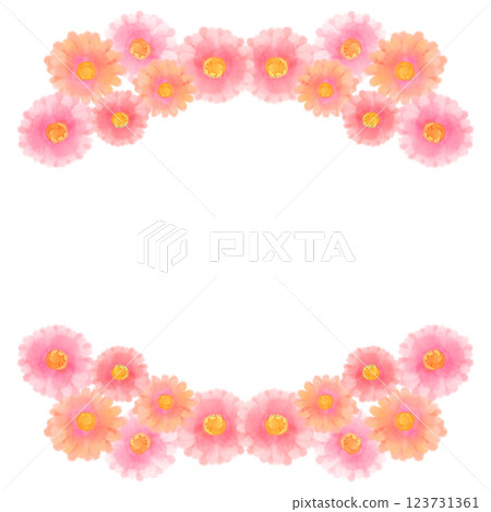 可愛的水彩風格粉紅非洲菊插畫 123731361