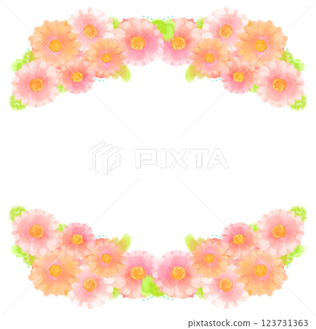 可愛的水彩風格粉紅非洲菊插畫 123731363