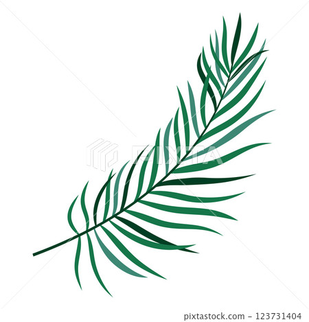 palm leaf in flat style palm leaf in flat style 123731404