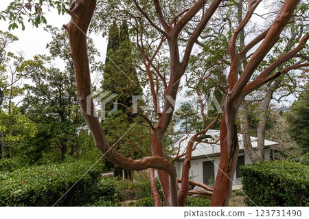 Autumn landscape 123731490