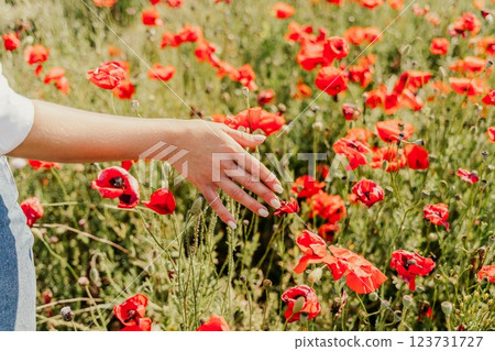 Woman hand poppies field. Close up of woman hand touching poppy flower in a field. 123731727